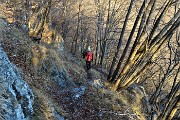 83 Si scende in bosco di faggi e carpini neri